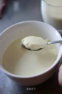 Scorched milk pudding