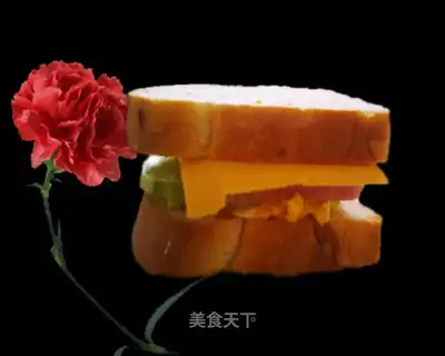 A simple sandwich