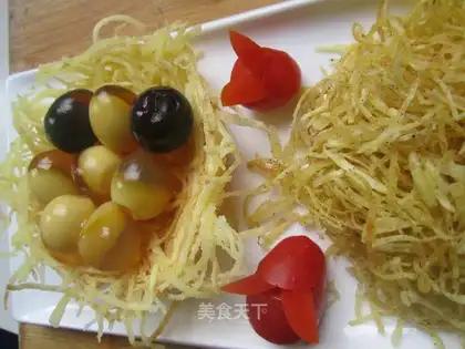 Bird nest