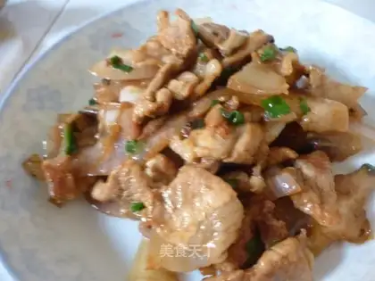 Fried meat