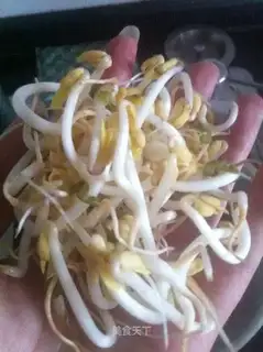 Homemade green bean buds