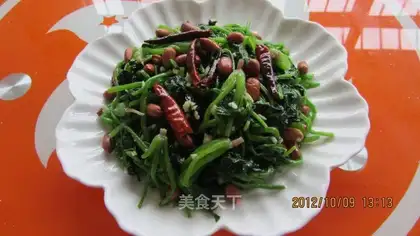 Vegetable spinach