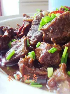 Cantonese braised beef brisket