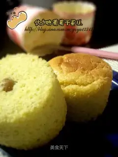 Vodka Raisin Cake