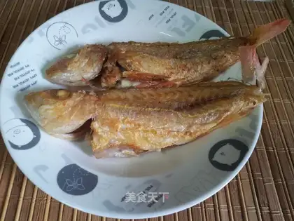 Red Shirt Fish
