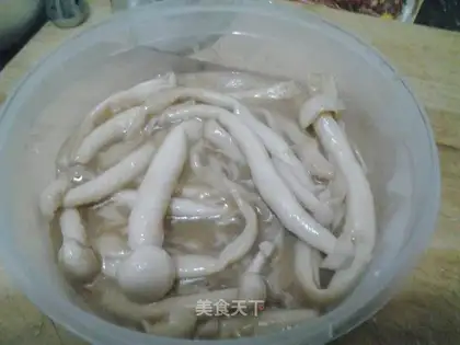 Yellow sea mushrooms