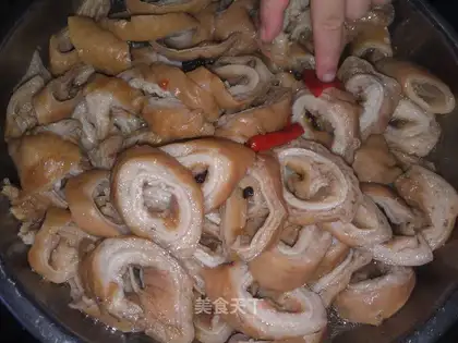 A halogenated pig's intestine