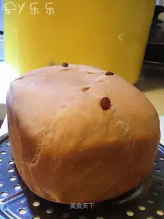 Chocolate-fruit bread