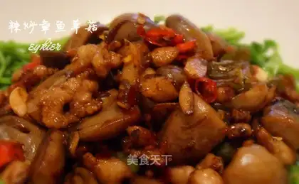 Spicy octopus