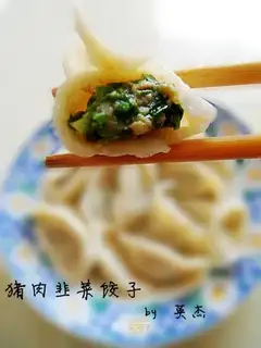 Pork dumplings