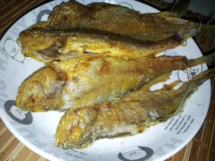The fragrance of wild yellow flowerfish