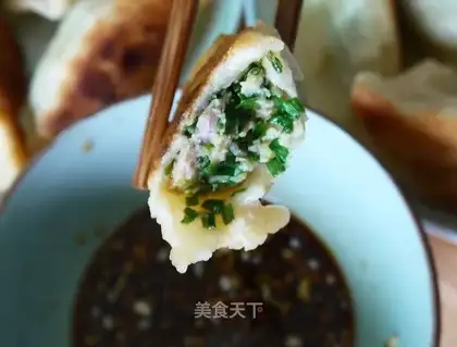 Pork dumplings