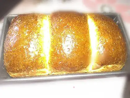 Whole wheat bread