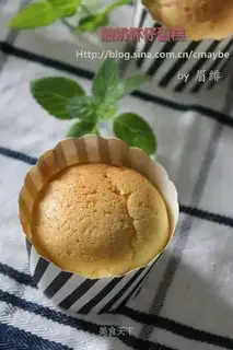 Yogurt Cupcake