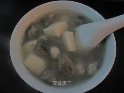 Sea turtle tofu soup