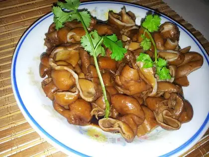 A pig's intestine