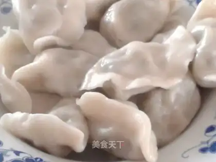 The meat dumplings