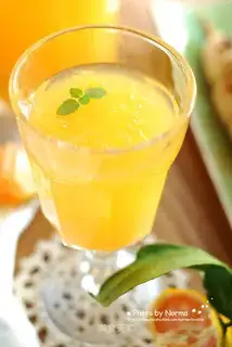 Fruit gravy orange juice