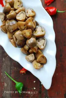 Pelican mushrooms