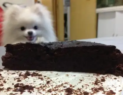 Brownie