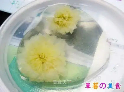 Chrysanthemum tea jelly