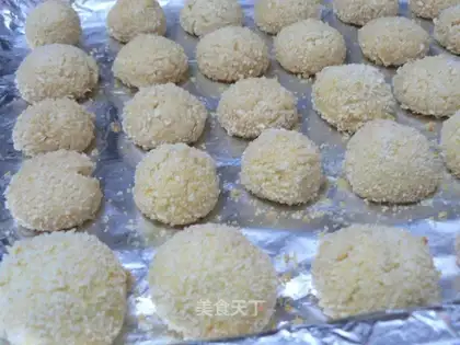 Protein coconut ball