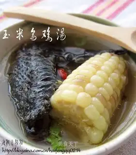 Corn chicken soup