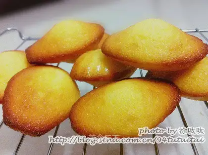 Shellcake Madeleine