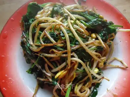 Bean sprouts