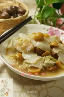 Chestnut cabbage