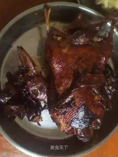 Duck