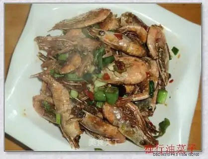 Shrimp