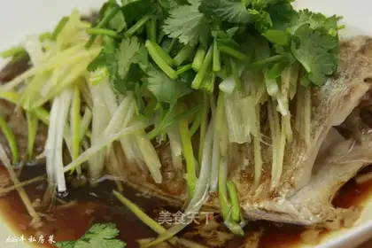 Onions of sea bass