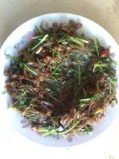 stir-fried pork with rice