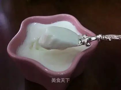 Homemade yogurt