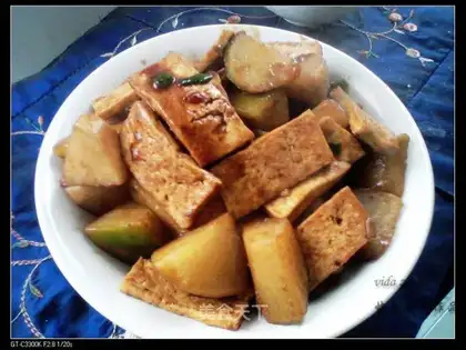 Pelican tofu radish