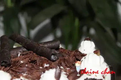Brownie cocoa cake