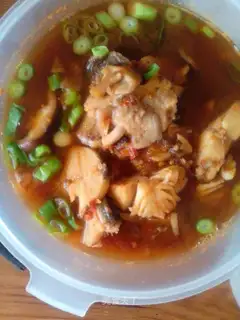 Squid fish