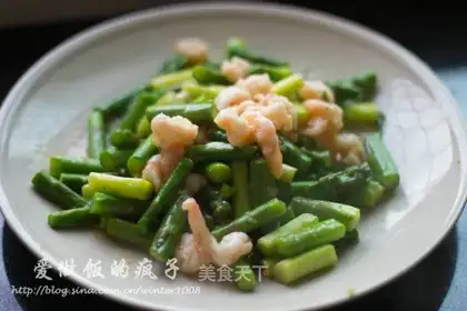 Shrimp