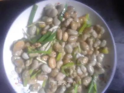 Onion bean