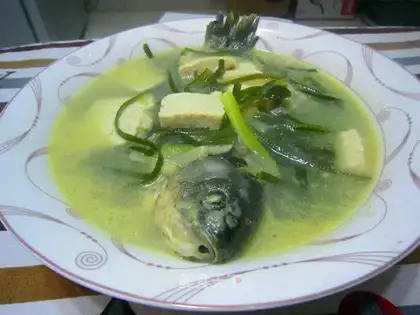Sea-belt tofu toad soup