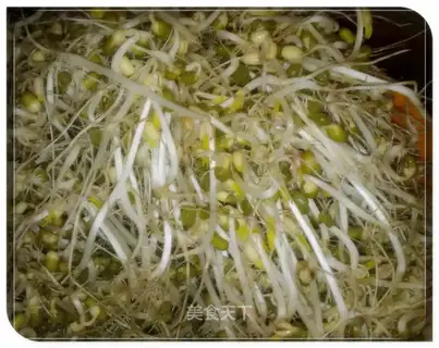 Green bean sprouts