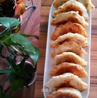 Fried dumplings