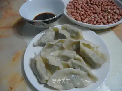 Scribble mushroom dumplings