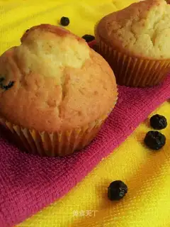 Blueberry yogurt