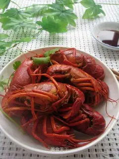 Shrimp