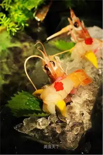 Shrimp stings