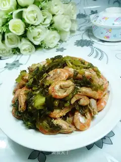 Snowseed shrimp