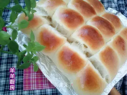 Milk-cracker