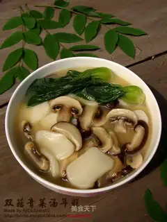 Two mushrooms, soup cake